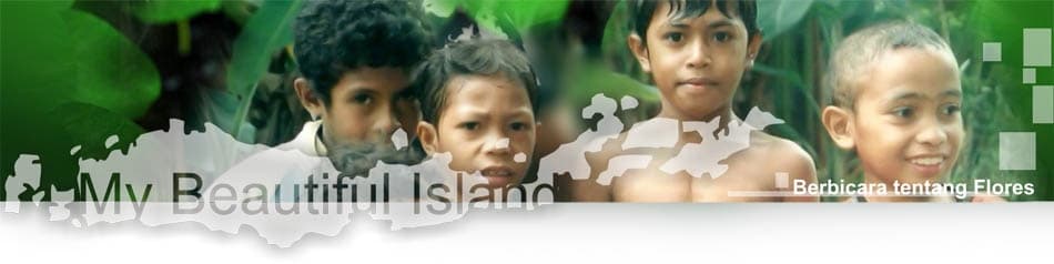 Lanskap udara Pulau Flores
